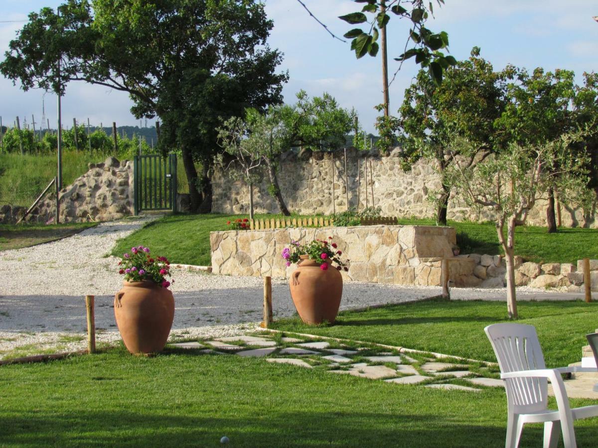 I Grilli B&B Baone Luaran gambar